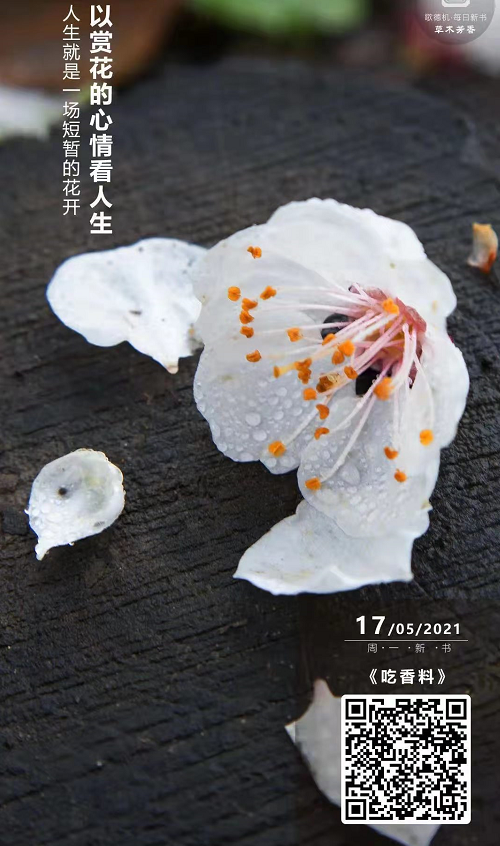 微信截图_20210517110147.png